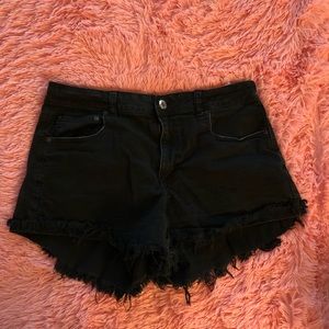 Festival shorts